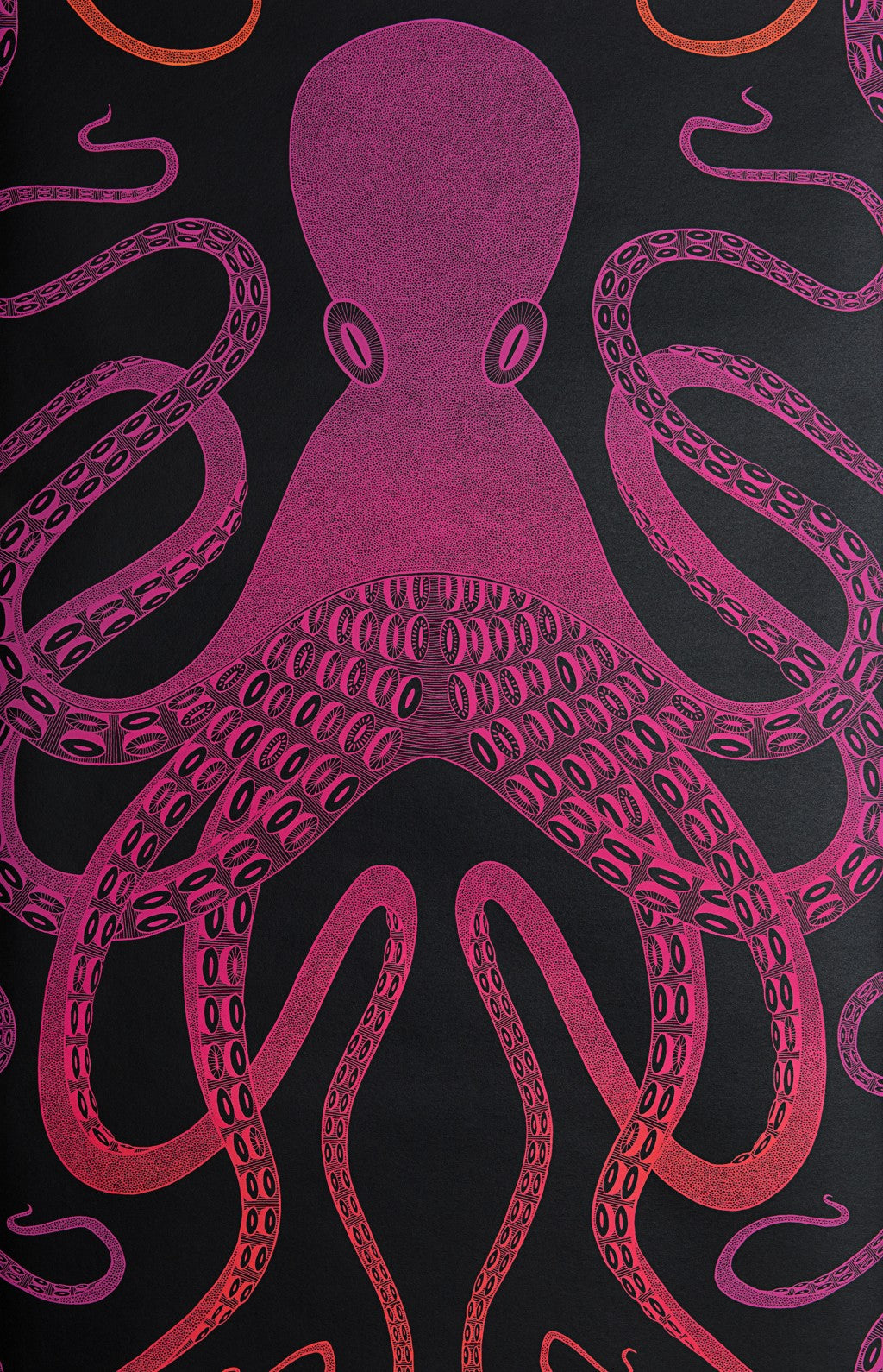 Ombre Octopus