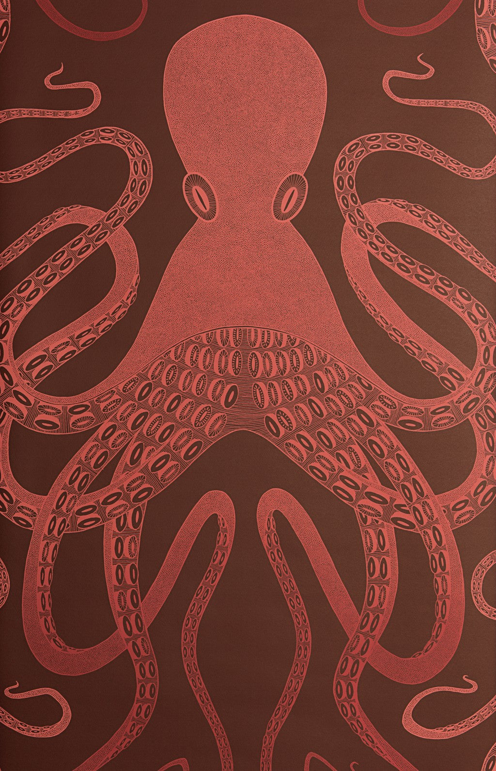 Ombre Octopus