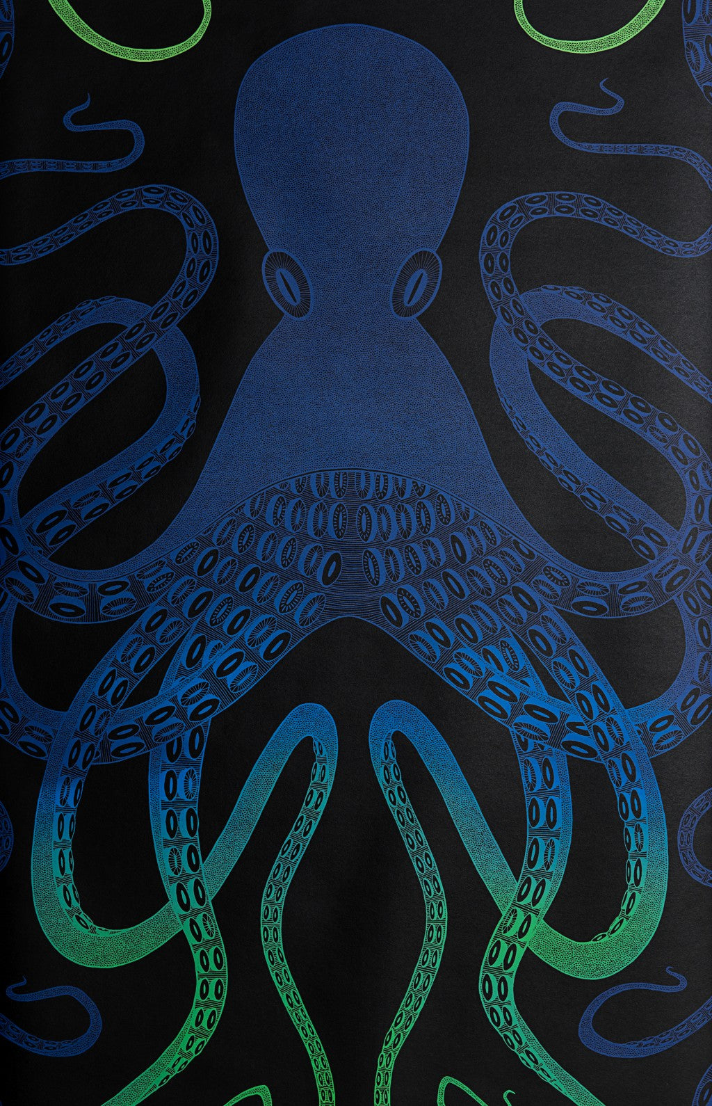 Ombre Octopus