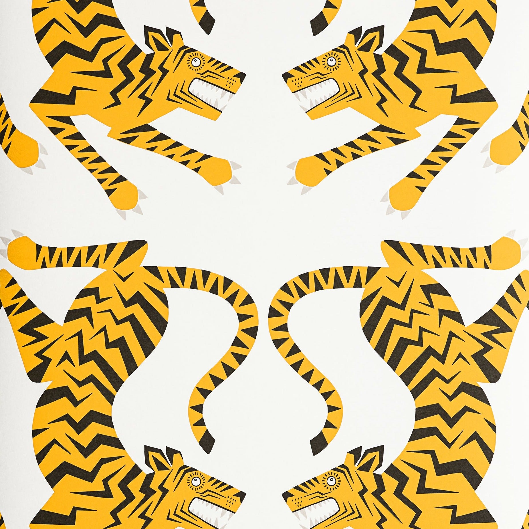 Tigers