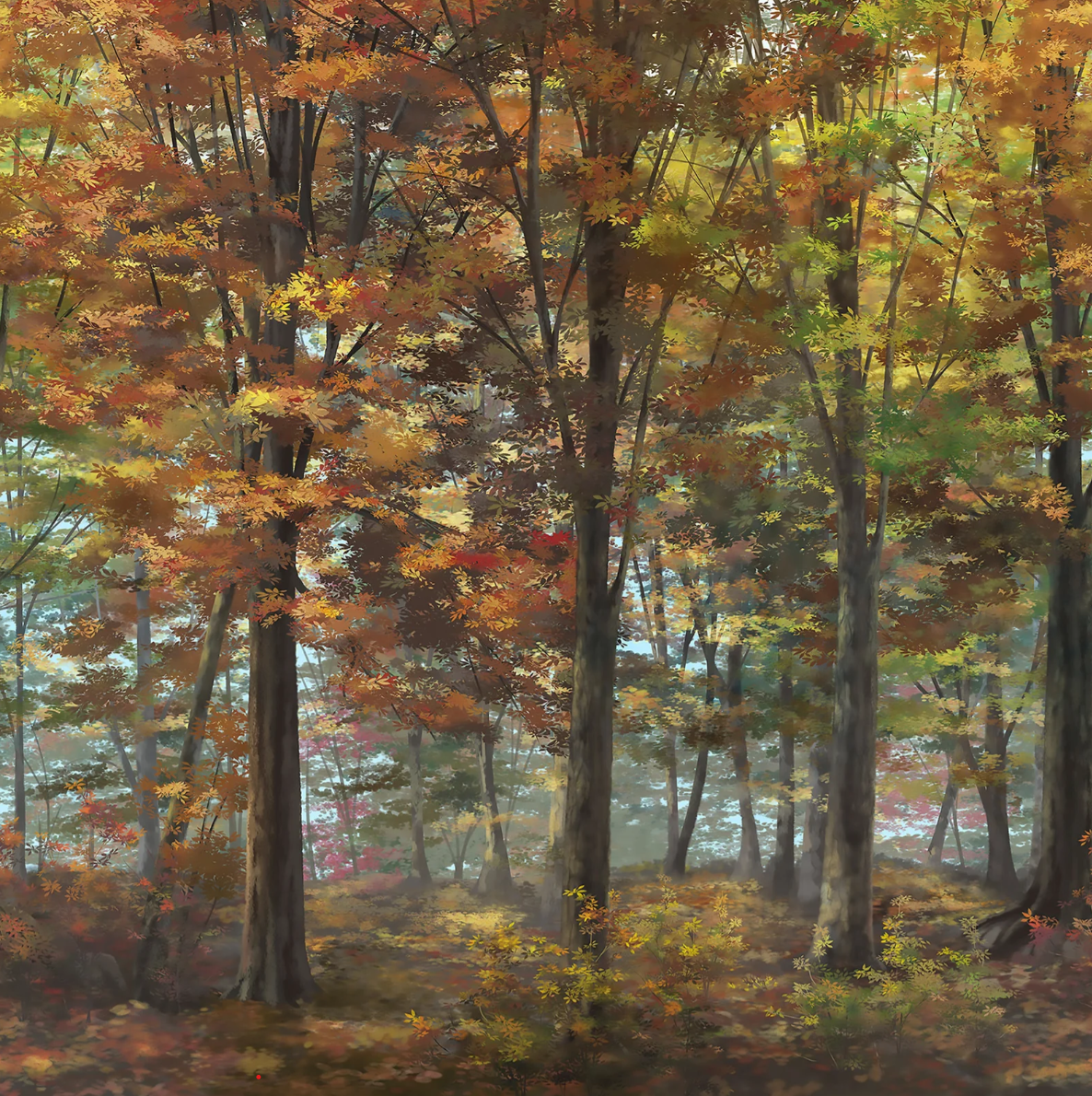 Autumn Forest