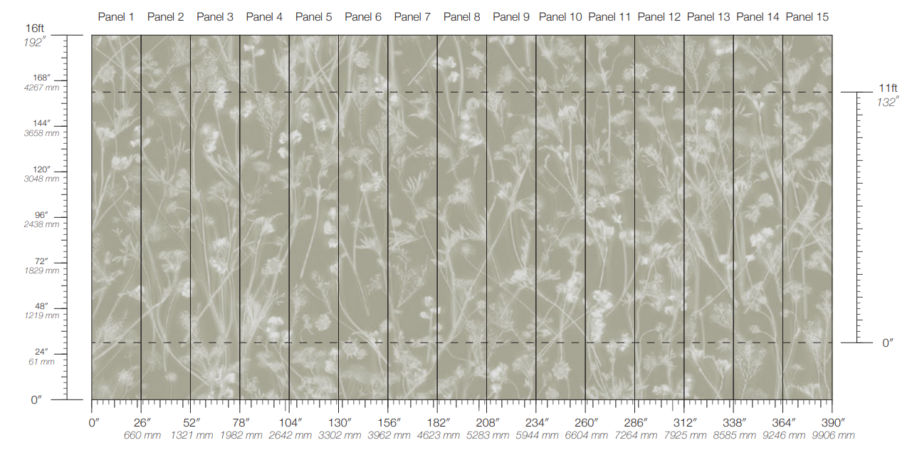 Sunprints