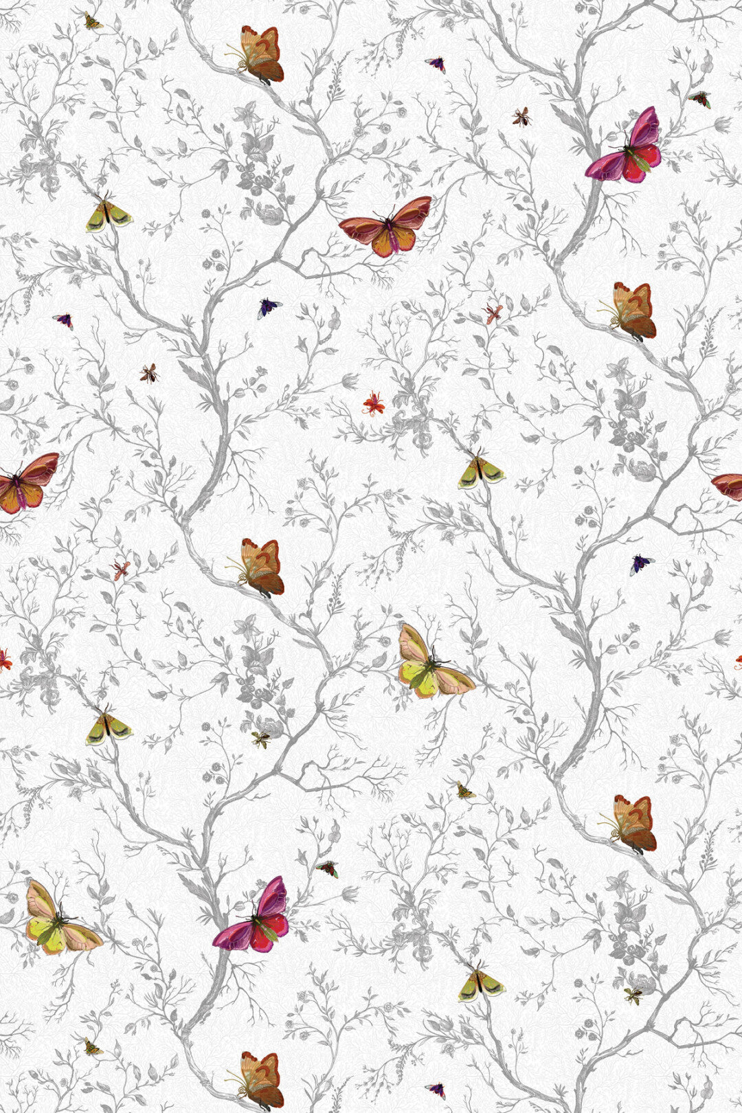 butterfly-wallpaper-white-background.jpg