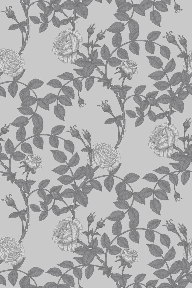 McGegan Rose Greys Wallpaper