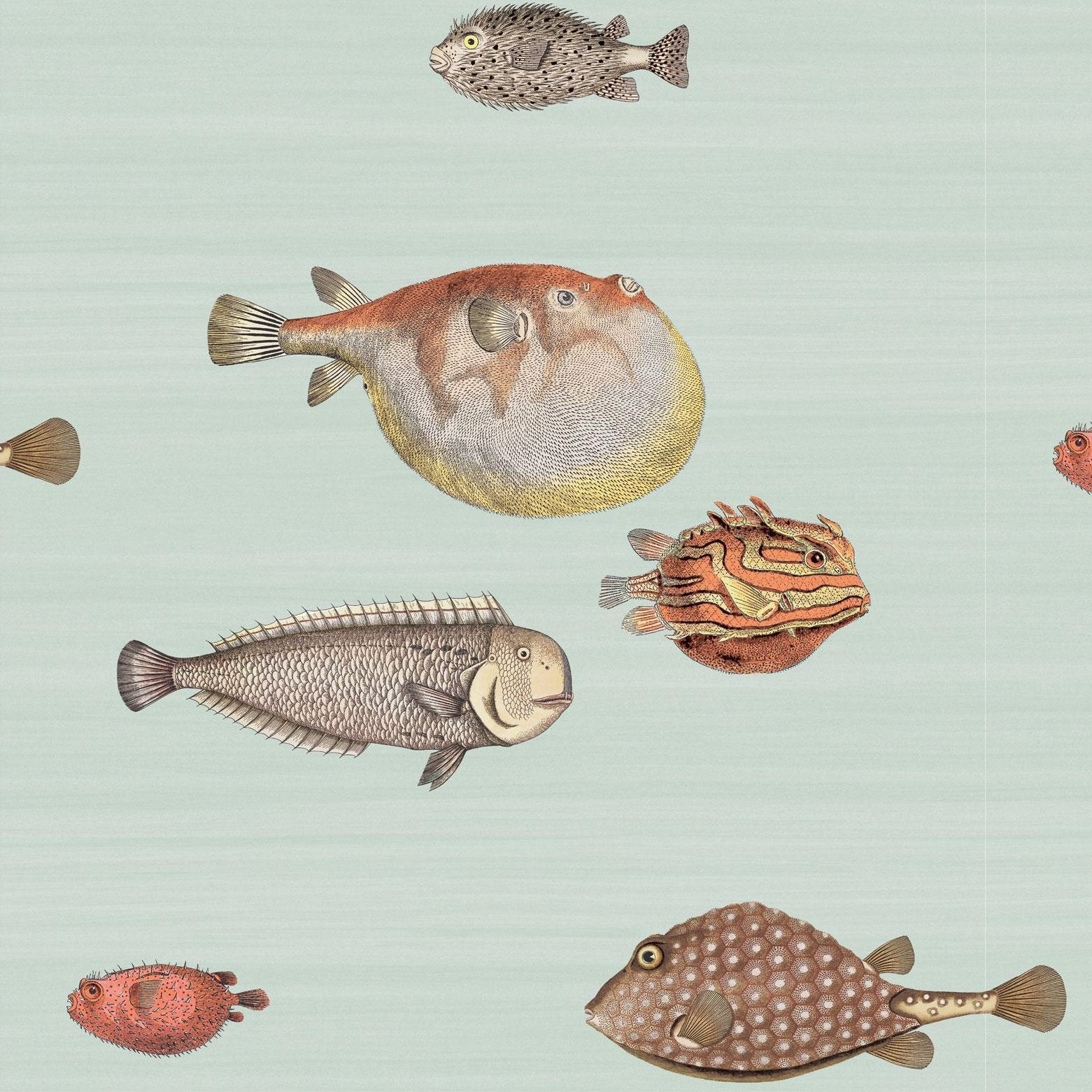Piero Fornasetti, Fish Theme Printed Wallcovering