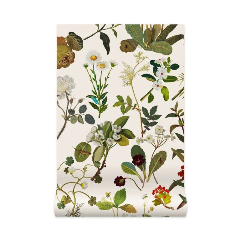 Herbarium – Walnut Wallpaper